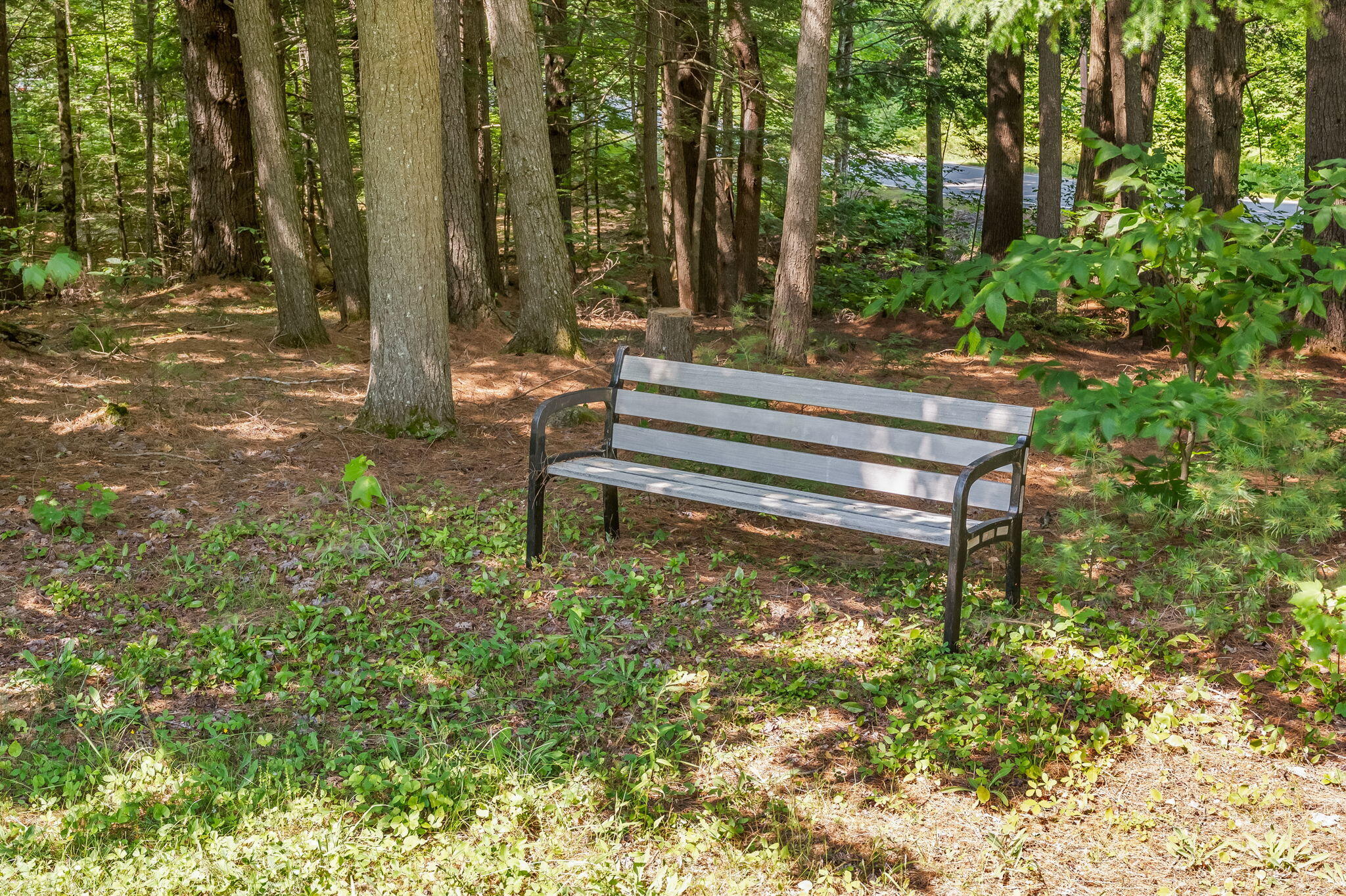 123 Fogg Road Readfield, ME 04355 - Photo 22 of 67 21-web-or-mls-123-fogg-rd (1)