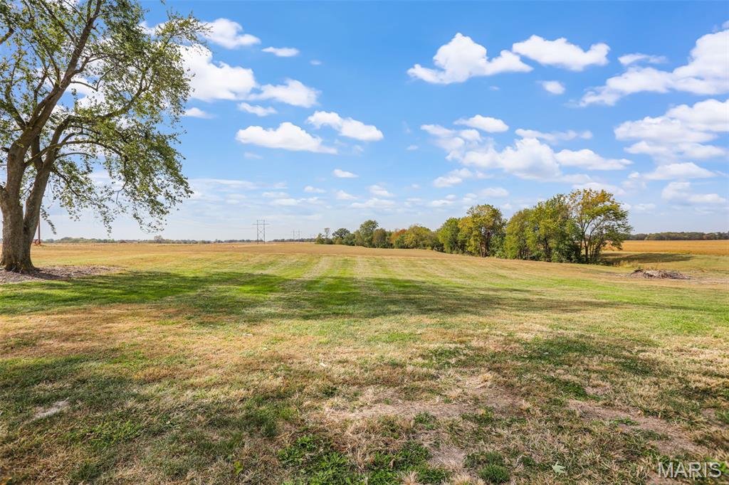 7733 Highway 159 Moro, IL 62067 - Photo 49 of 50