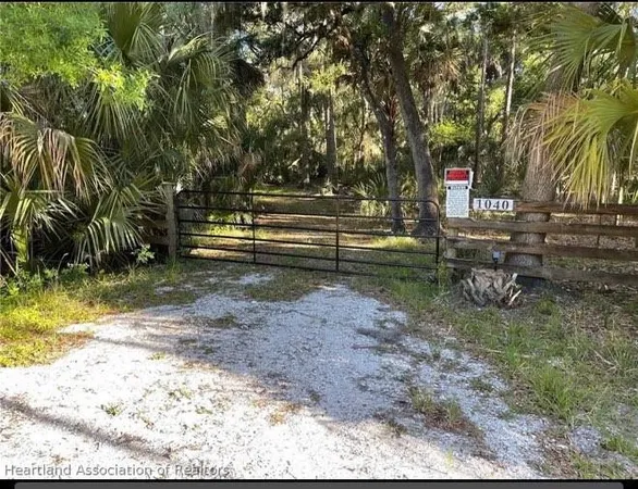 a view of a yard with a tree