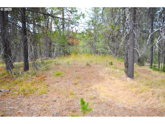 a view of lake view with trees