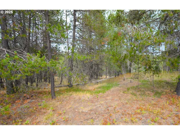 $650,000 | 64955 Old Oregon Trail, Meacham, OR 97859