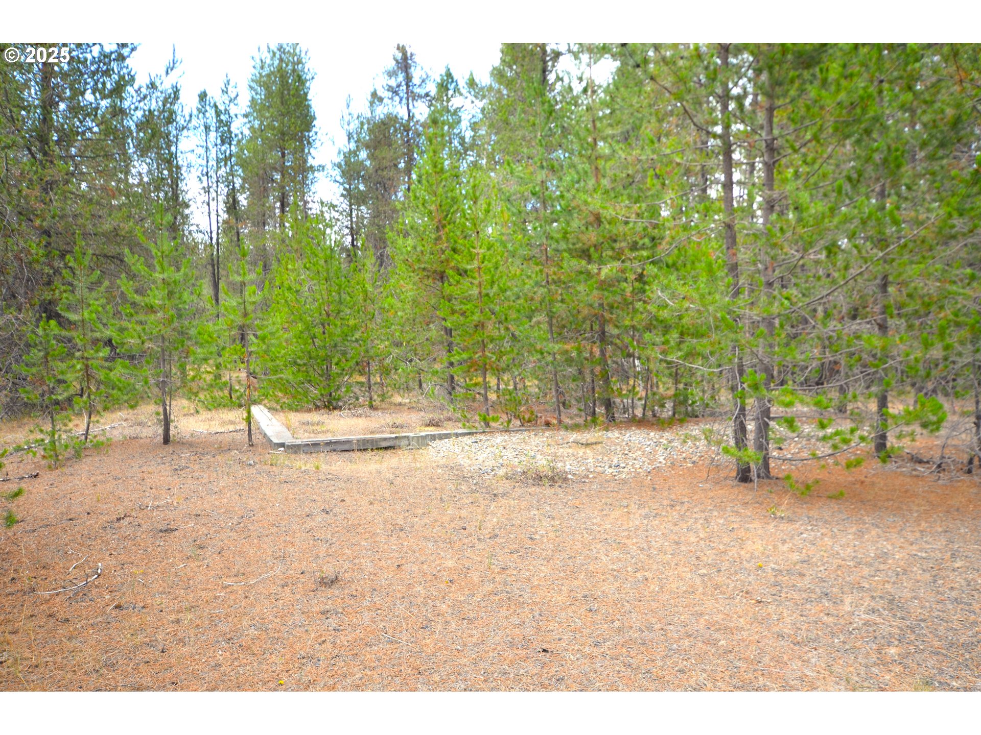 64955 Old Oregon Trail Meacham, OR 97859 - Photo 21 of 47 a view of a yard with trees