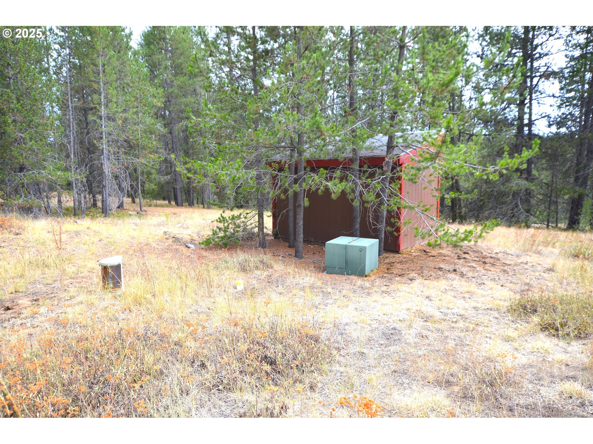 64955 Old Oregon Trail Meacham, OR 97859 - Photo 23 of 47 a view of a yard