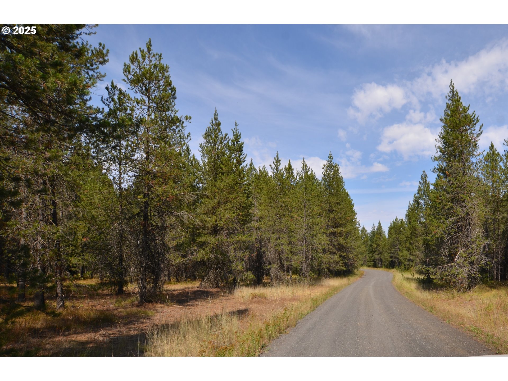 64955 Old Oregon Trail Meacham, OR 97859 - Photo 30 of 47 a view of an outdoor space and a yard