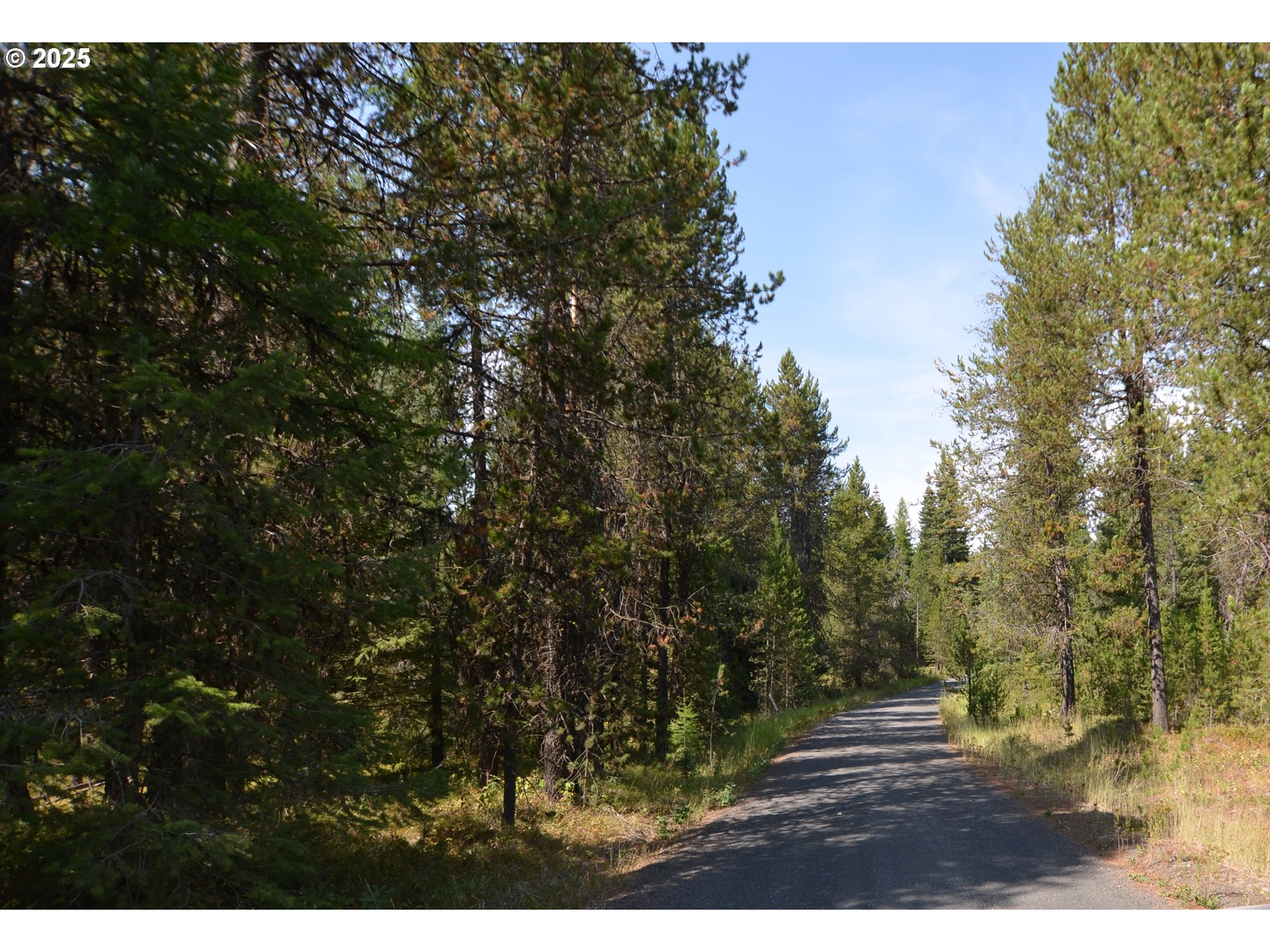 64955 Old Oregon Trail Meacham, OR 97859 - Photo 32 of 47 a view of outdoor space and yard
