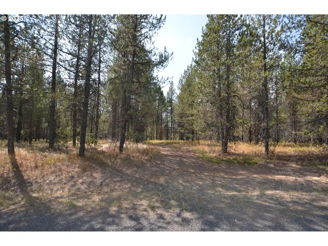 a view of outdoor space with trees