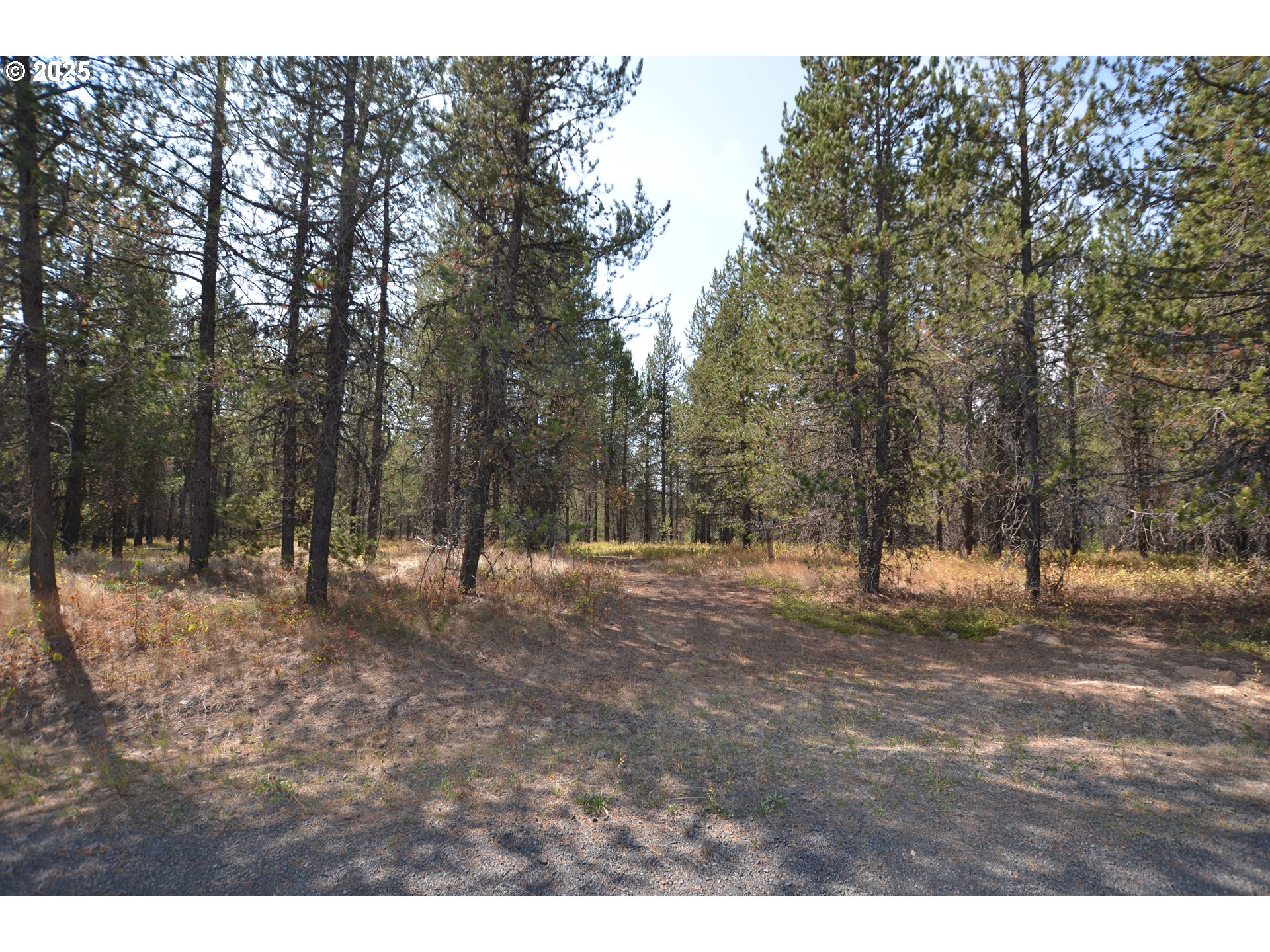 64955 Old Oregon Trail Meacham, OR 97859 - Photo 34 of 47 a view of outdoor space with trees