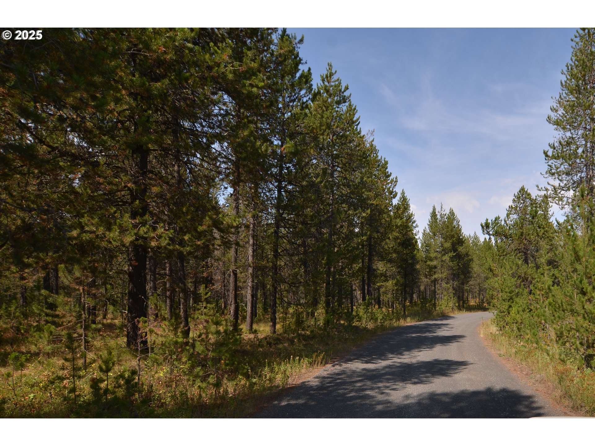 64955 Old Oregon Trail Meacham, OR 97859 - Photo 35 of 47 a view of outdoor space and yard