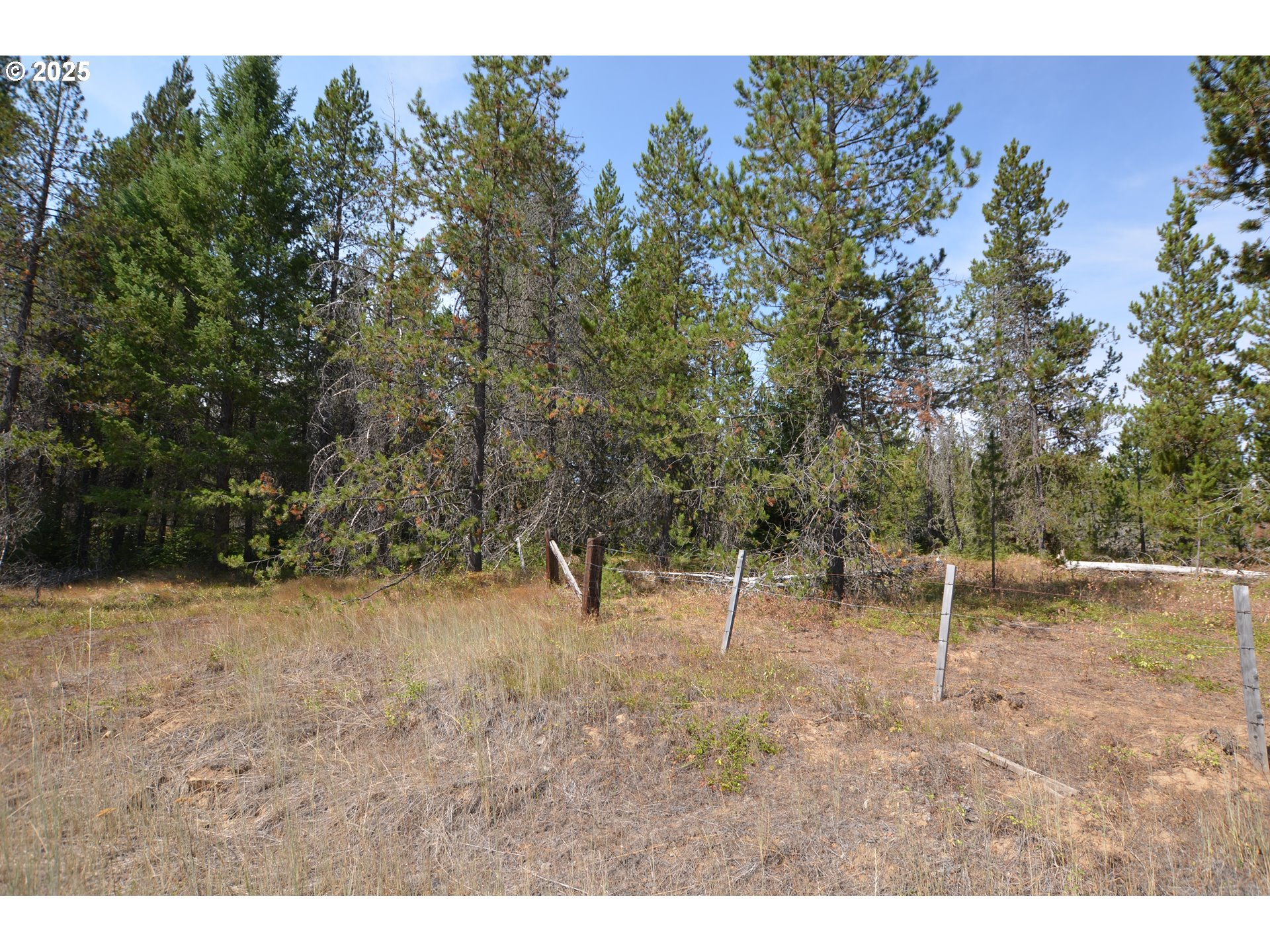64955 Old Oregon Trail Meacham, OR 97859 - Photo 37 of 47 a view of outdoor space with trees