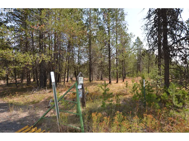 a view of a backyard of the house