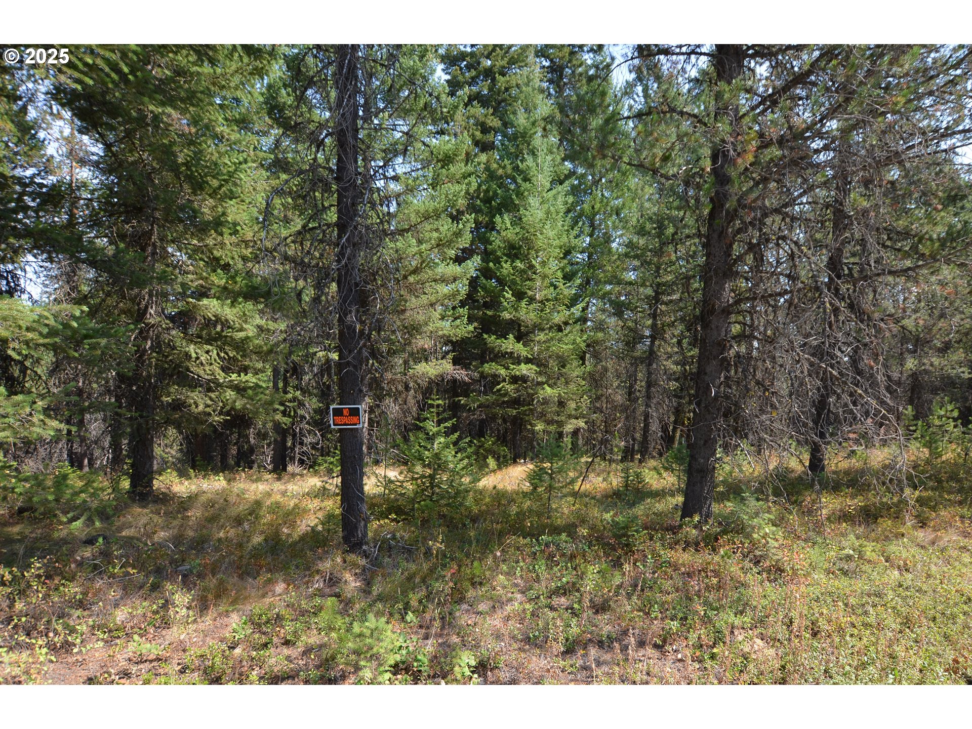 64955 Old Oregon Trail Meacham, OR 97859 - Photo 45 of 47 a view of outdoor space and trees