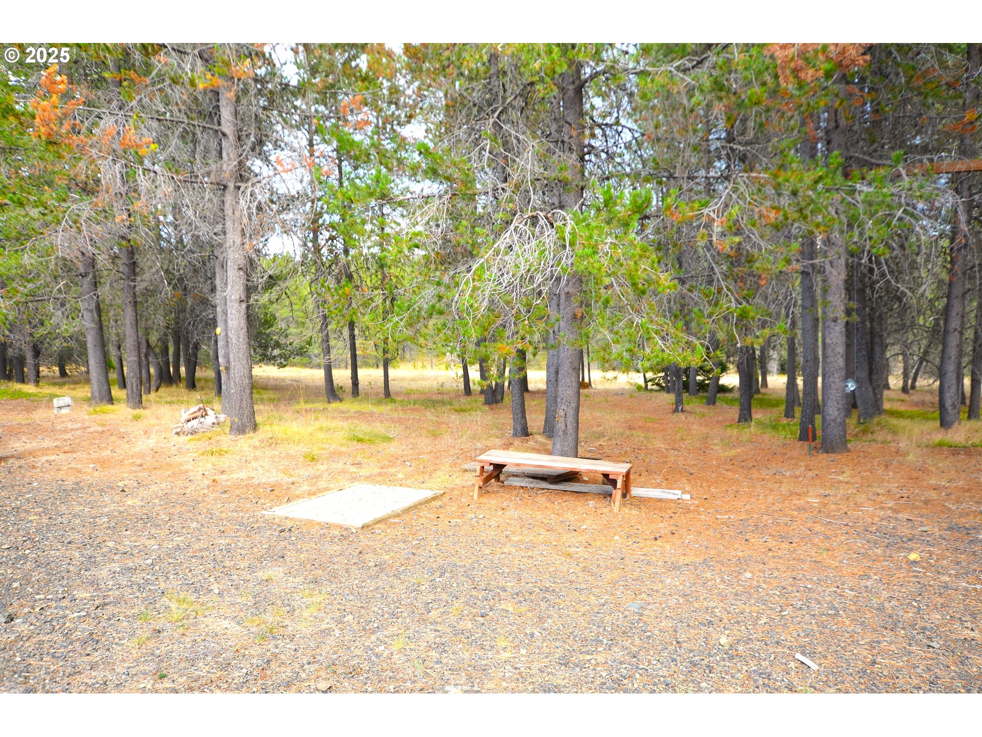 64955 Old Oregon Trail Meacham, OR 97859 - Photo 5 of 47 a view of outdoor space with trees