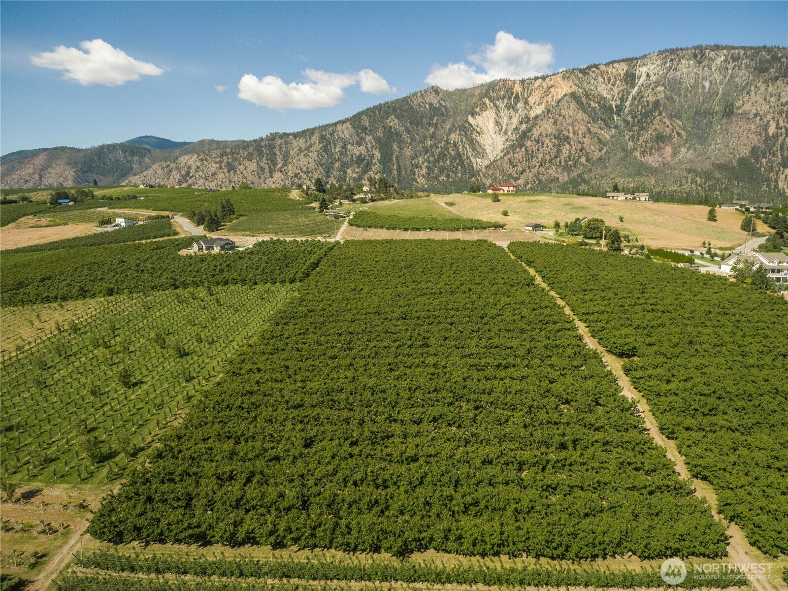 984 Loop Avenue Manson, WA 98831 - Photo 12 of 14 a view of an ocean and a mountain
