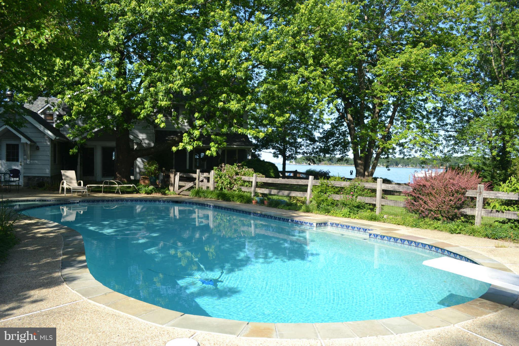 Pool and Spa