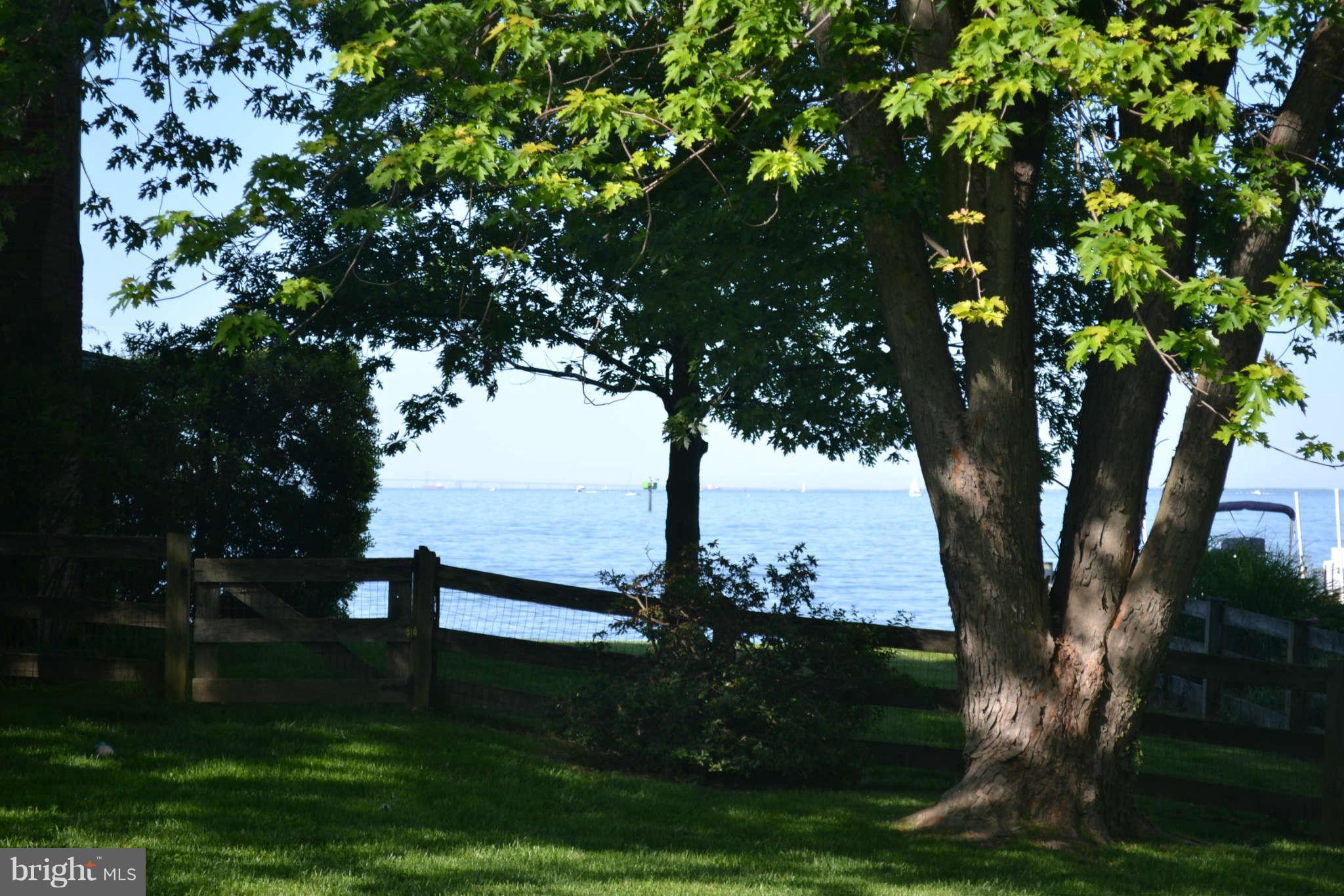 1456 East West Shady Side Road Shady Side, MD 20764 - Photo 25 of 30 Side Yard View