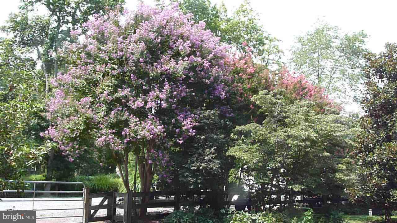 1456 East West Shady Side Road Shady Side, MD 20764 - Photo 29 of 30 Grounds