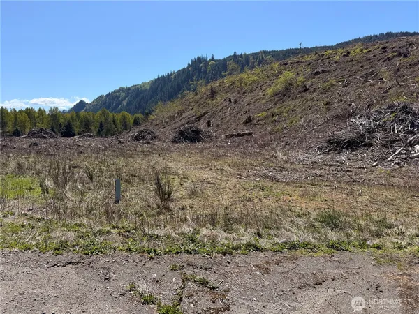a view of a dry field