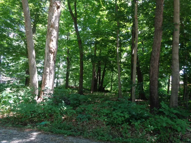 a view of outdoor space and green space