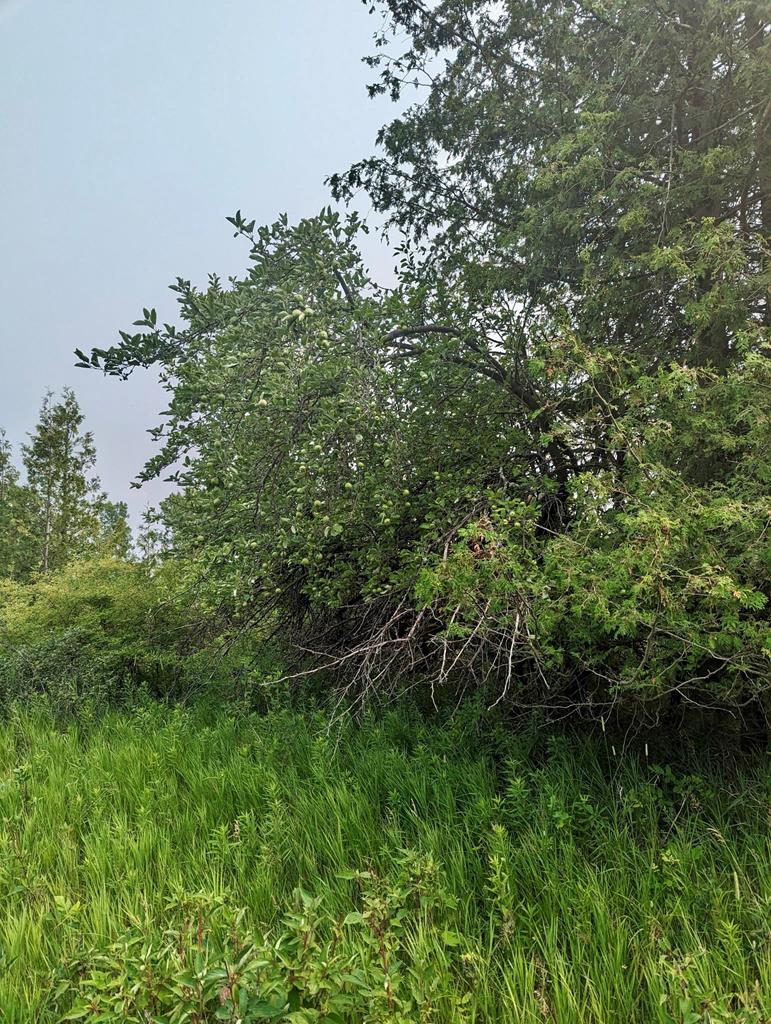 Lot 8 Golf View Road Sturgeon Bay, WI 54235 - Photo 10 of 38