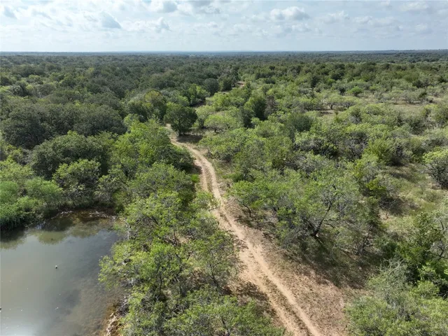an aerial view of forest
