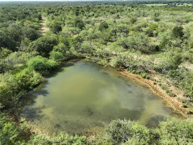 a view of a lake from a yard