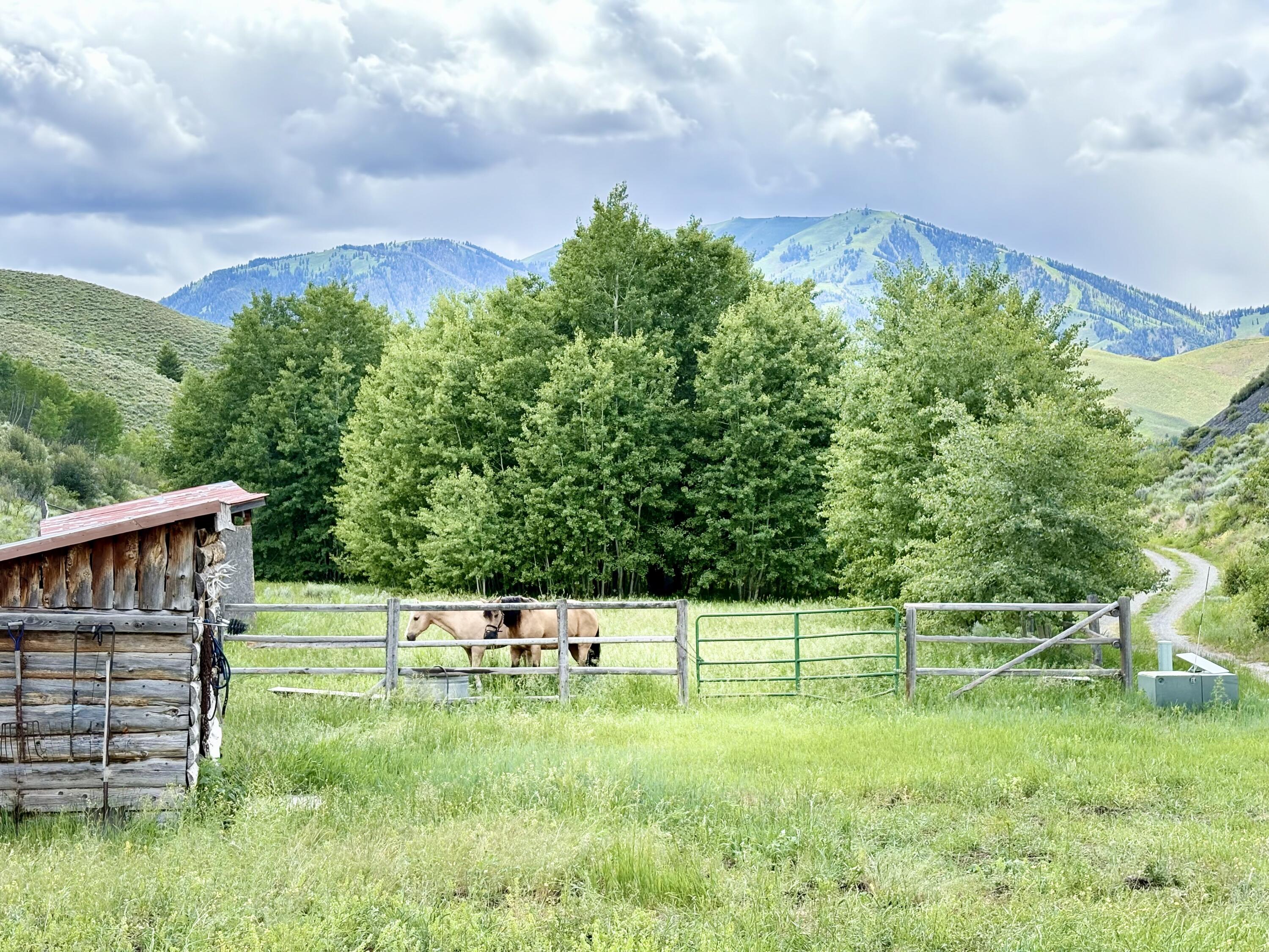 120 Keystone St: Sun Valley Estate & Dev