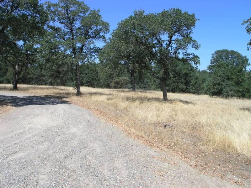 4521 Rhonda Road Anderson, CA 96007 - Photo 3 of 12 Property