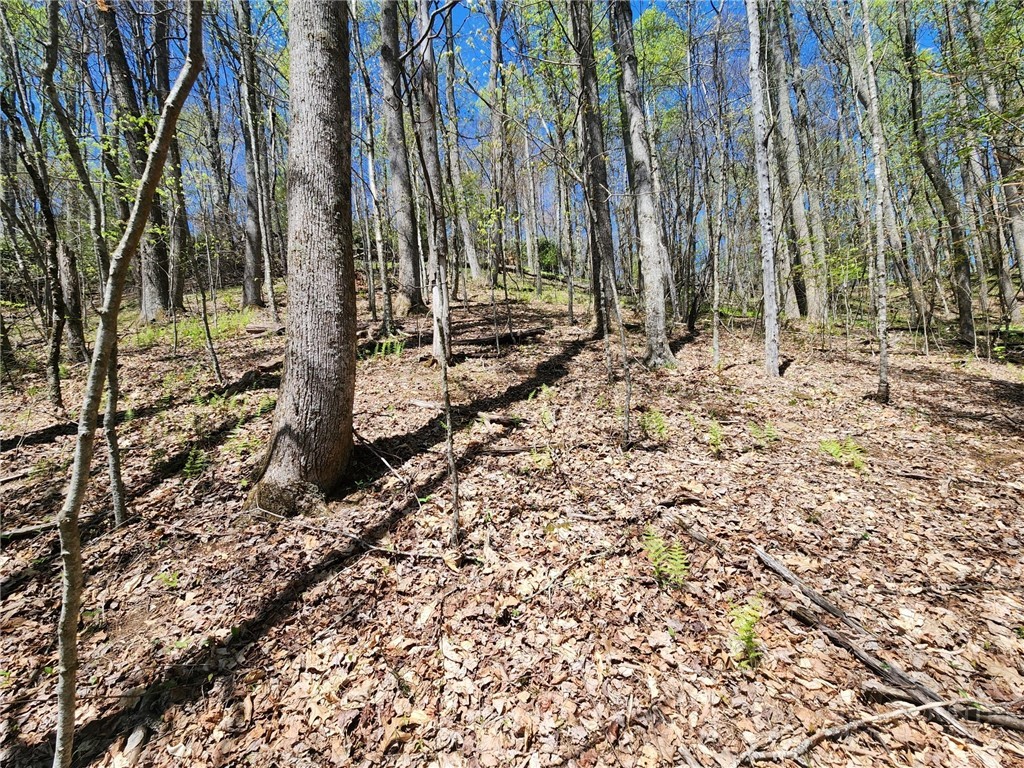 Lot 13 Shady Bark Lane Boone, NC 28607 - Photo 12 of 16 a backyard of a house with lots of green space