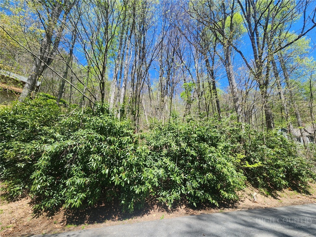 Lot 13 Shady Bark Lane Boone, NC 28607 - Photo 2 of 16 a view of a yard with plants and trees