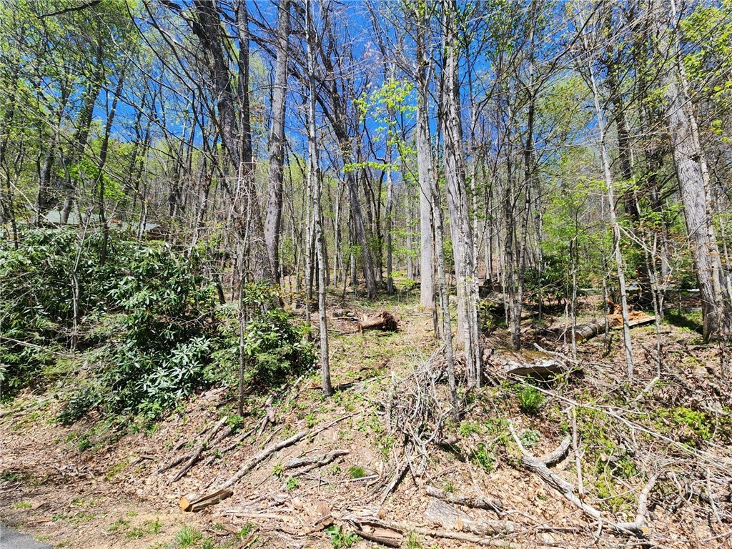 Lot 13 Shady Bark Lane Boone, NC 28607 - Photo 3 of 16 a backyard of a house with lots of green space and chair