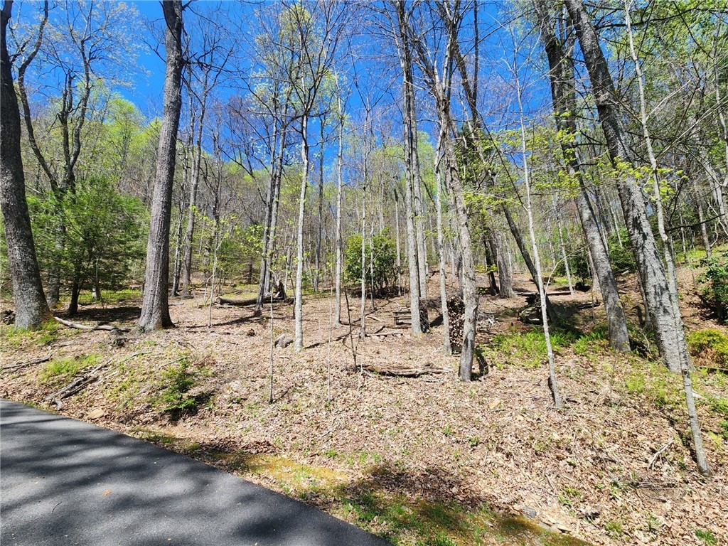 Lot 13 Shady Bark Lane Boone, NC 28607 - Photo 4 of 16 a view of a bench in the garden