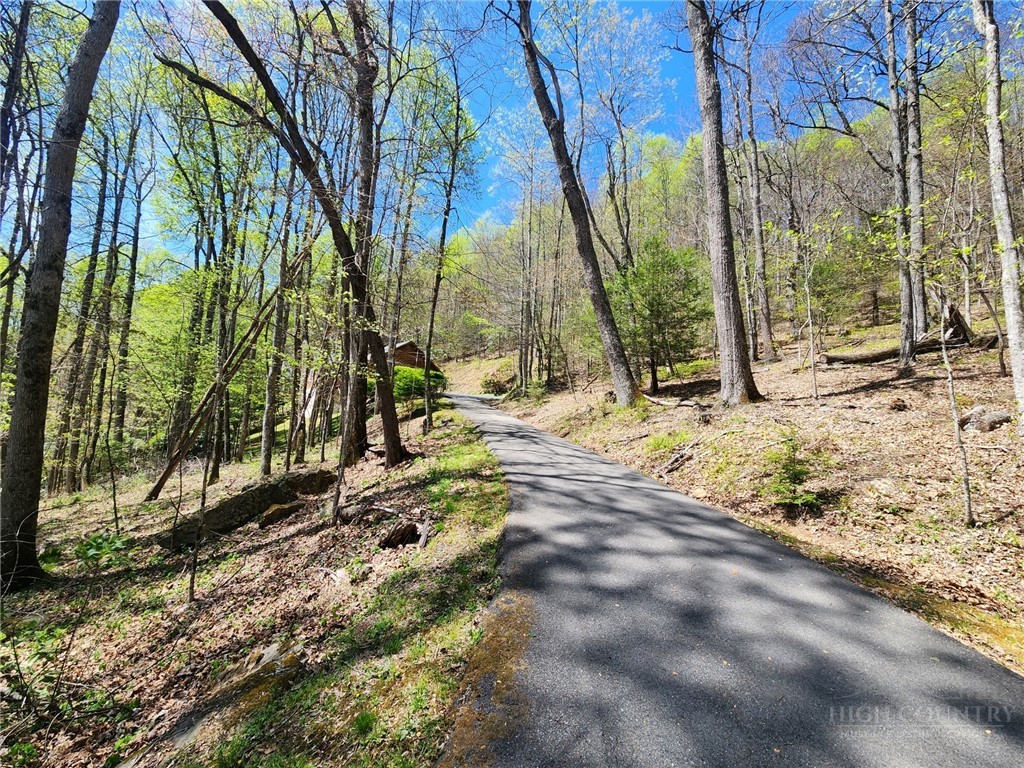 Lot 13 Shady Bark Lane Boone, NC 28607 - Photo 5 of 16 a view of a yard with plants