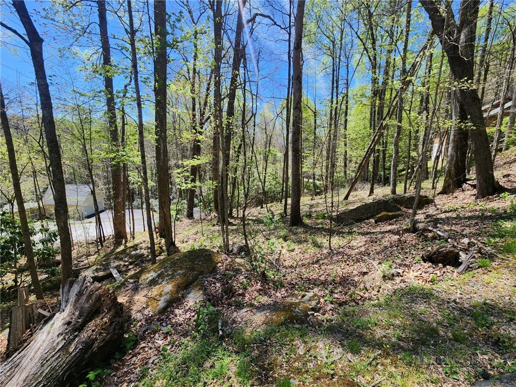 Lot 13 Shady Bark Lane Boone, NC 28607 - Photo 8 of 16 a view of a backyard
