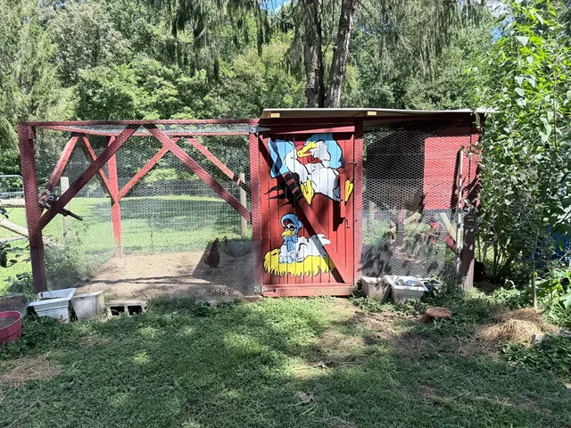 a view of a backyard with table and chairs plants and large trees