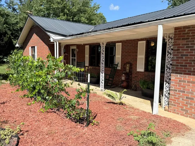 a view of potted plant in front of a house