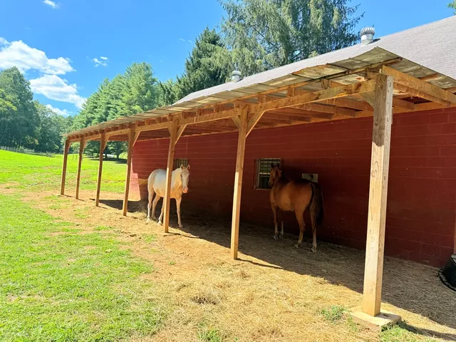 a close up of a plant in a garden