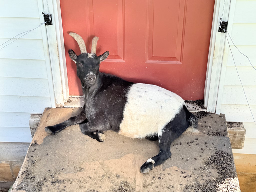 10809 Beaver Dam Road Murphy, NC 28906 - Photo 45 of 46 a view of living room