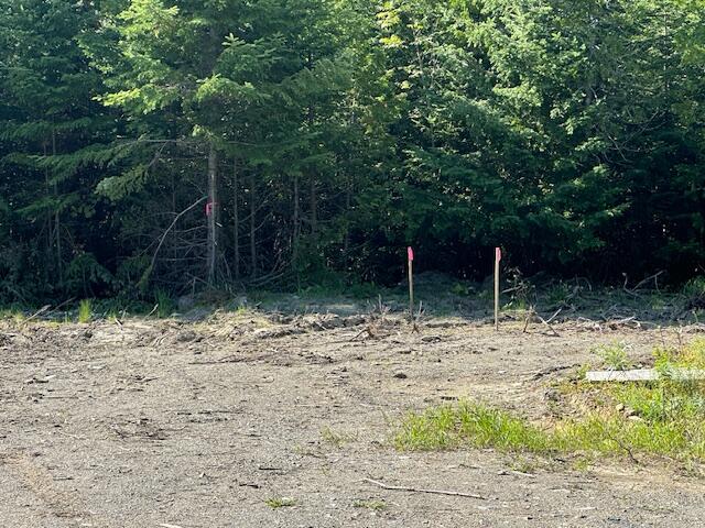 Lot 1 Lily Bay Road Greenville, ME 04441 - Photo 9 of 9 l1