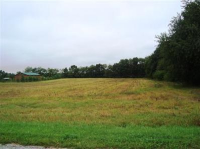Lt 1 South Range Road Union Mills, IN 46382 - Photo 1 of 1 398x298