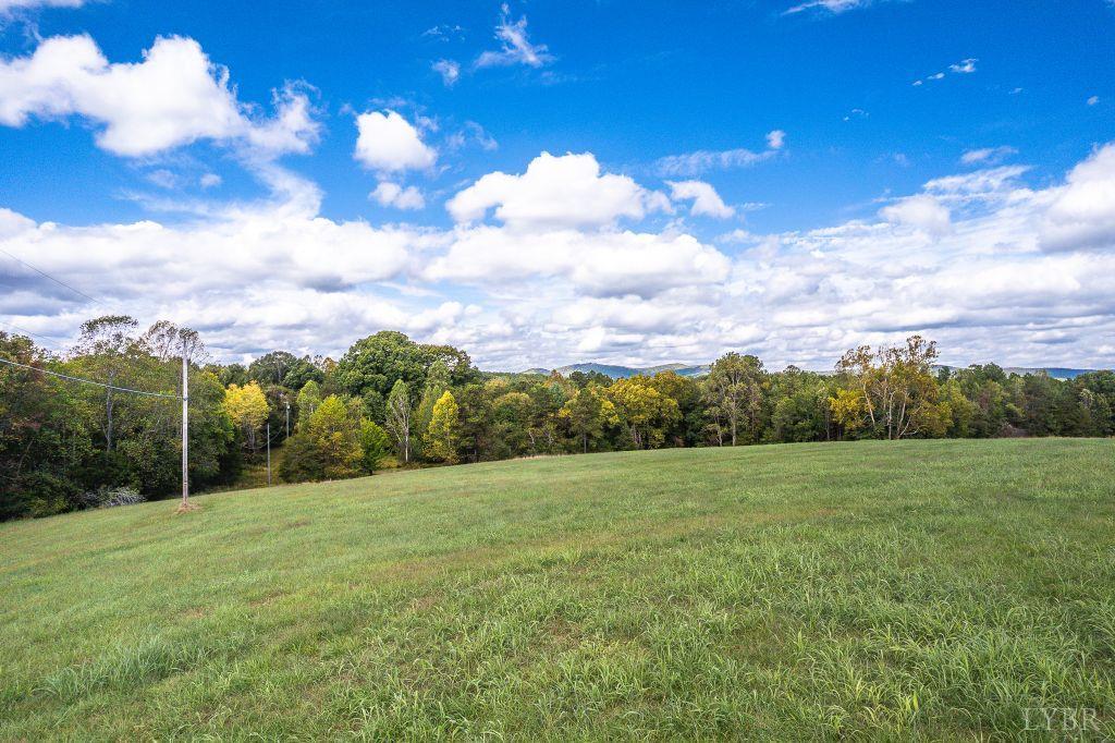 0 Pauls Road Rustburg, VA 24588 - Photo 14 of 24 a view of a grassy field with trees