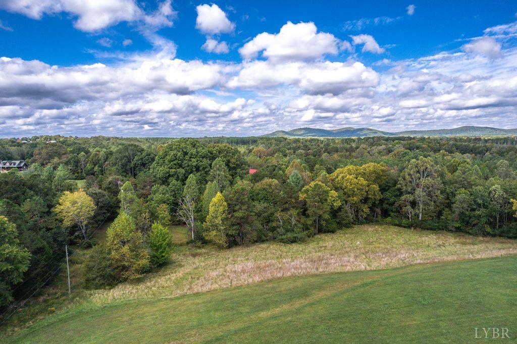 0 Pauls Road Rustburg, VA 24588 - Photo 15 of 24 a view of a city