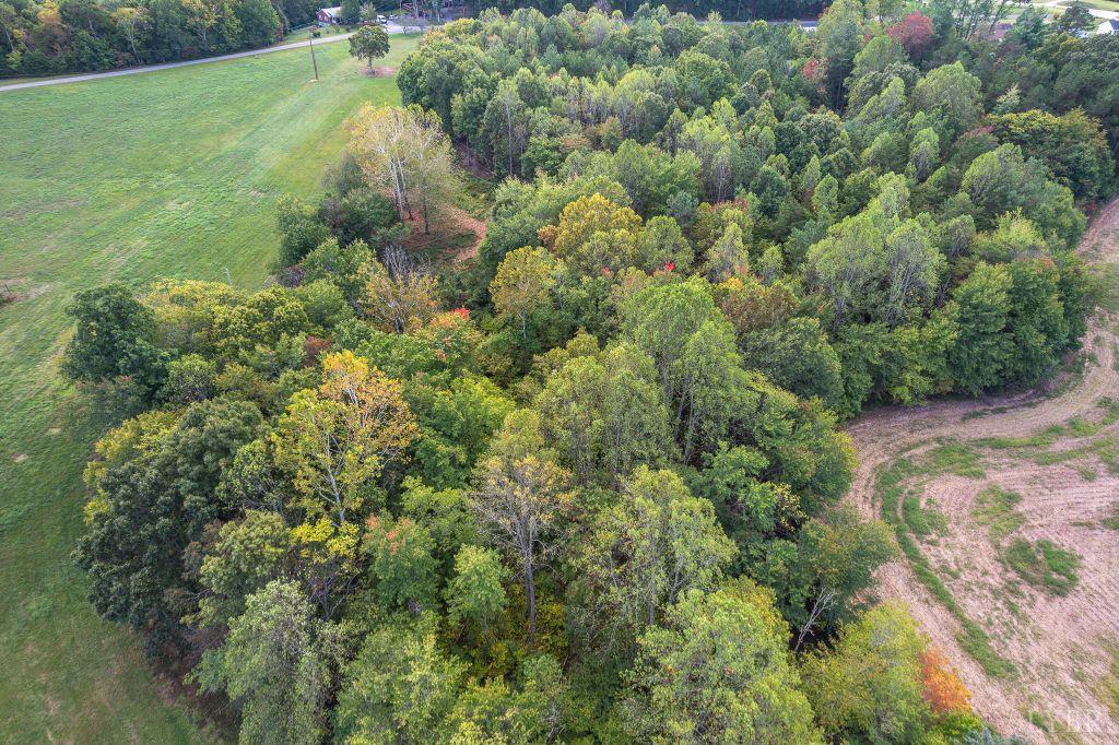 0 Pauls Road Rustburg, VA 24588 - Photo 16 of 24 an aerial view of residential houses with outdoor space and trees