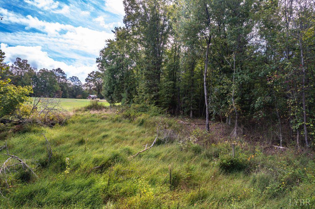 0 Pauls Road Rustburg, VA 24588 - Photo 17 of 24 a view of outdoor space and trees