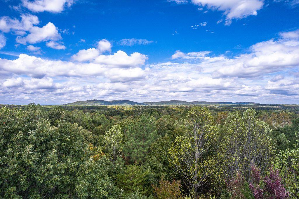 0 Pauls Road Rustburg, VA 24588 - Photo 18 of 24 a view of a large yard with plants