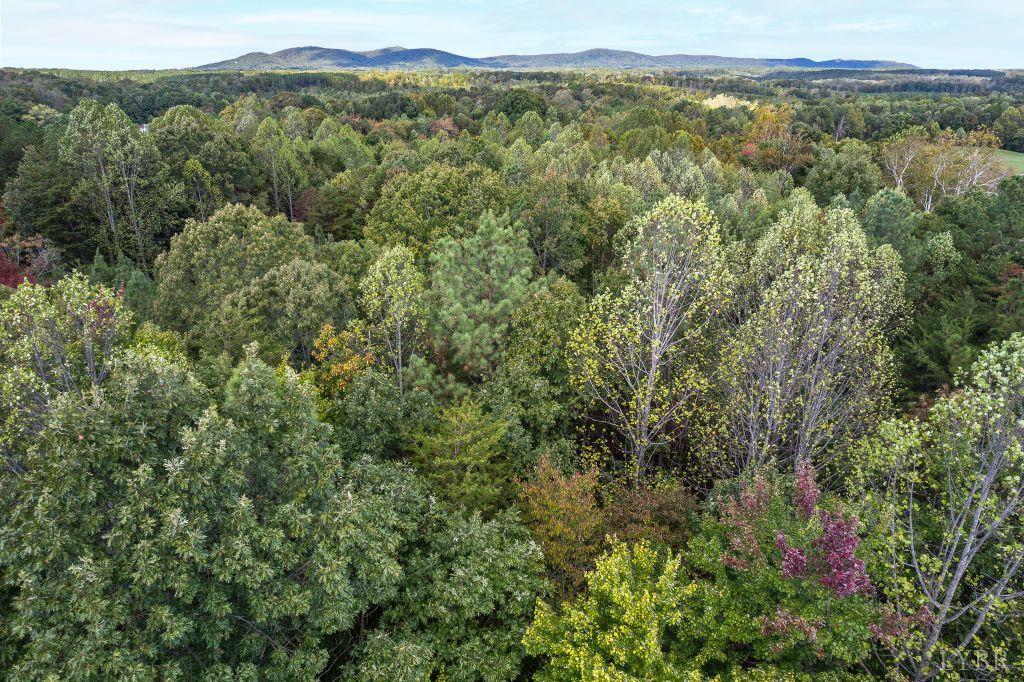 0 Pauls Road Rustburg, VA 24588 - Photo 19 of 24 a view of a city with lush green forest