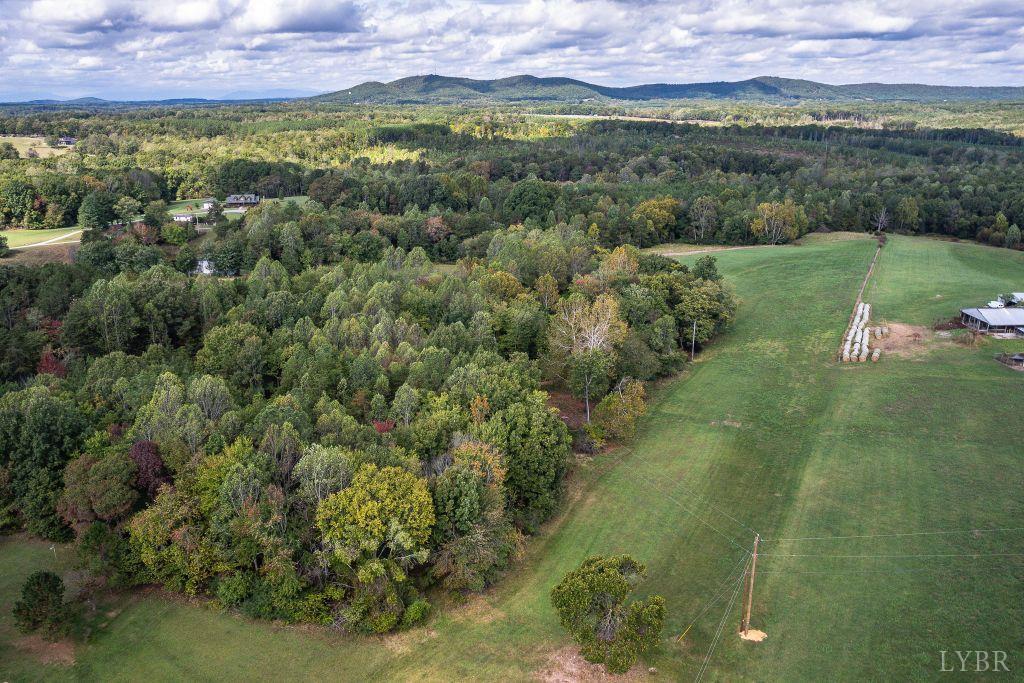 0 Pauls Road Rustburg, VA 24588 - Photo 24 of 24 a view of a lush green hillside and a houses