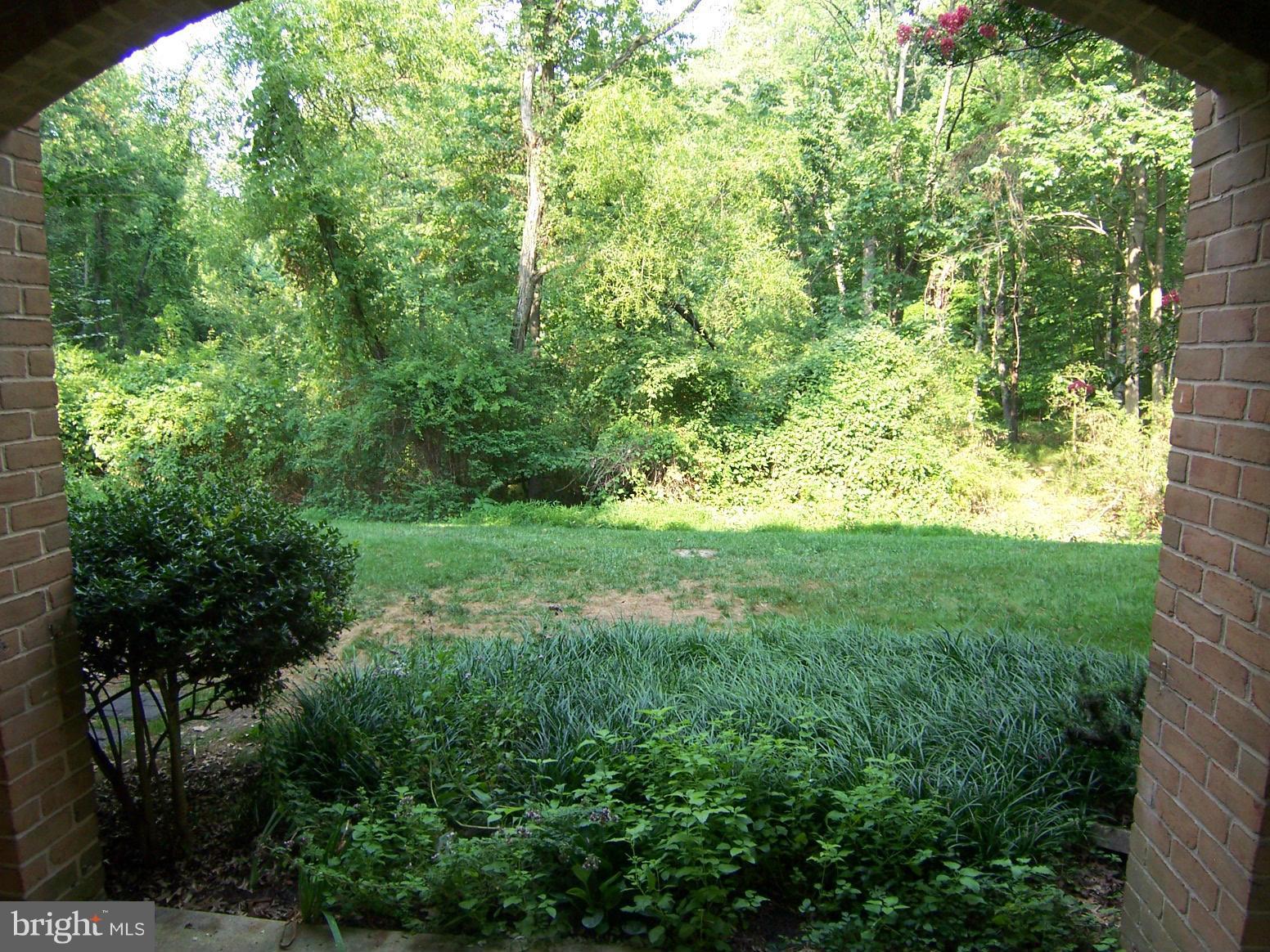 5905 Bayshire Road, Unit 187 Springfield, VA 22152 - Photo 12 of 13 View from patio