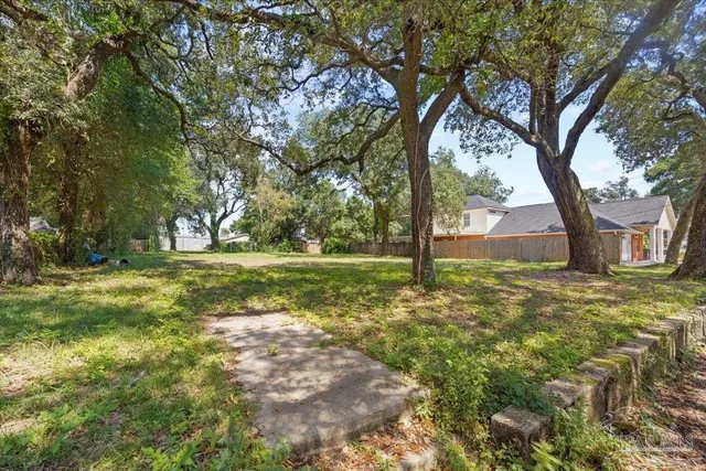 a view of yard with tree