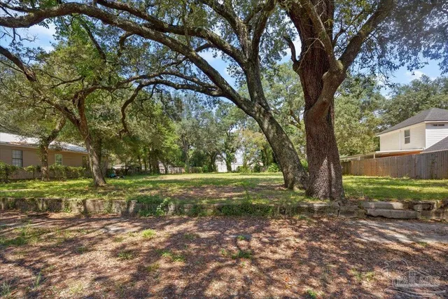 a big yard with trees