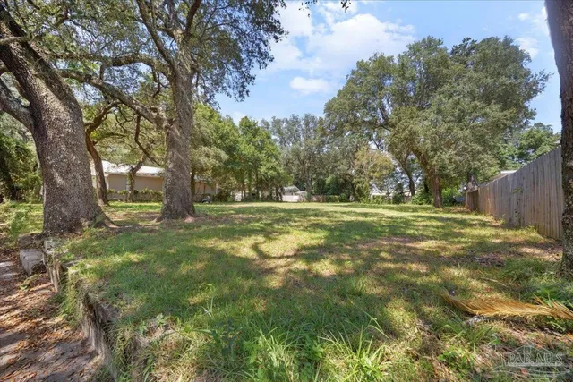 a view of outdoor space with trees all around